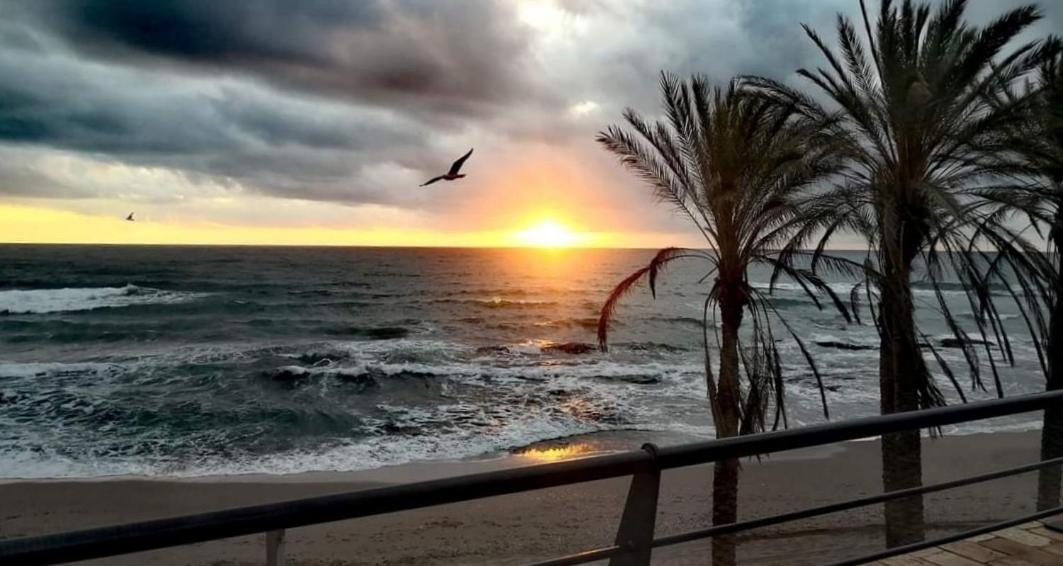 El Estudio De La Playa Benalbeach 324 Gran Terraza Vistas Al Mar 贝纳尔马德纳 外观 照片